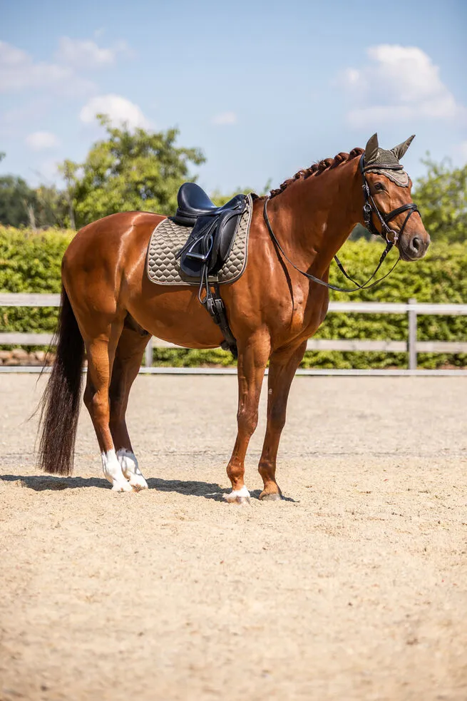 Horze Sandnes Dressage Saddle Pad Olive Drab
