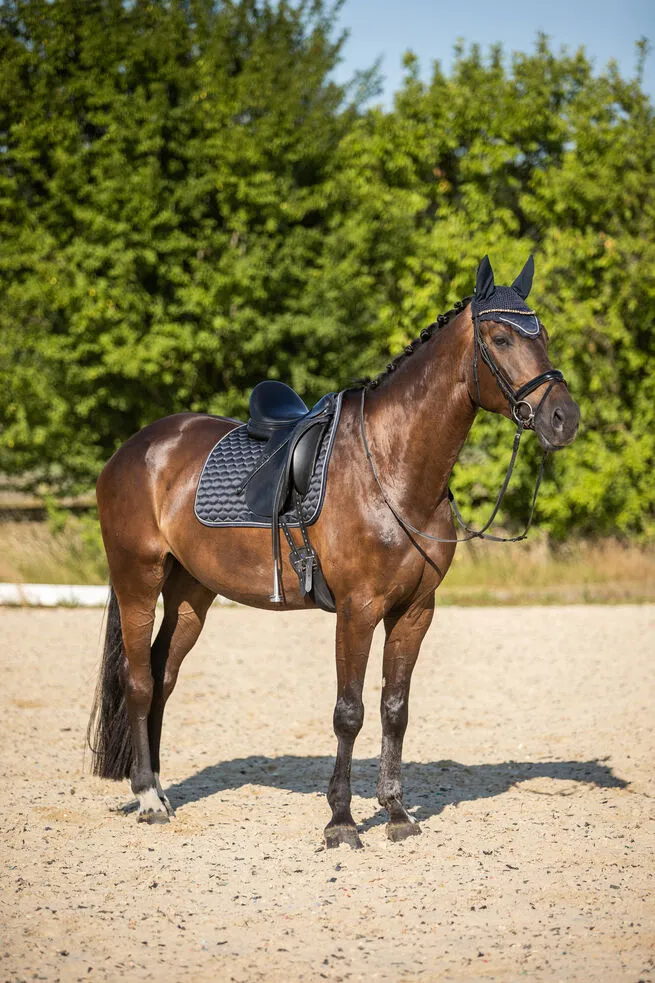 Horze Sandnes Dressage Saddle Pad Very Dark Blue