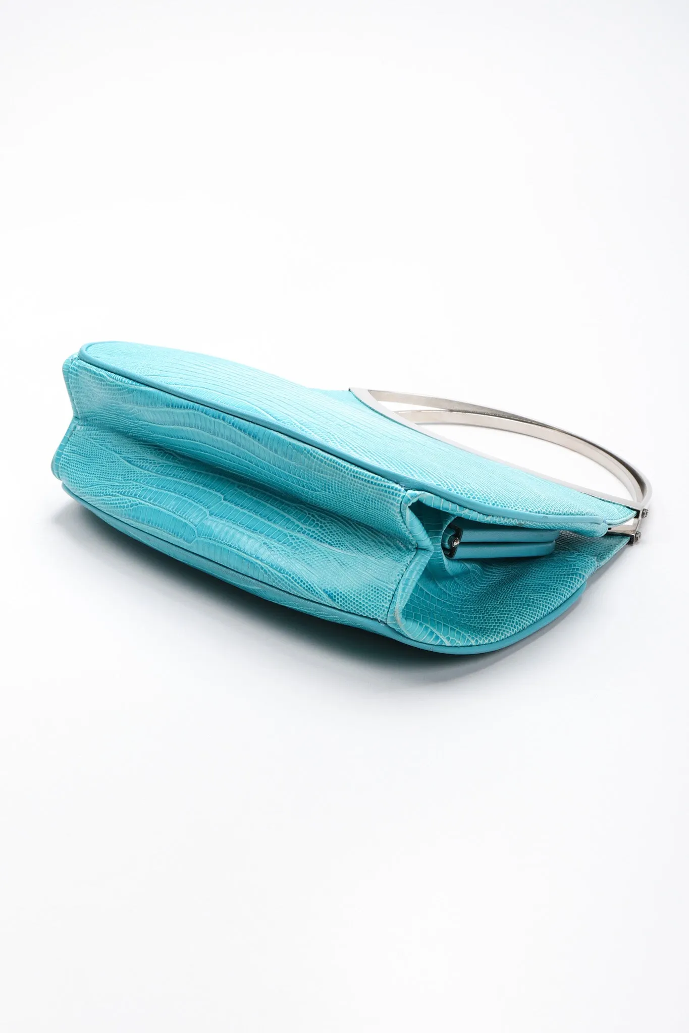 Lizard Frame Bag