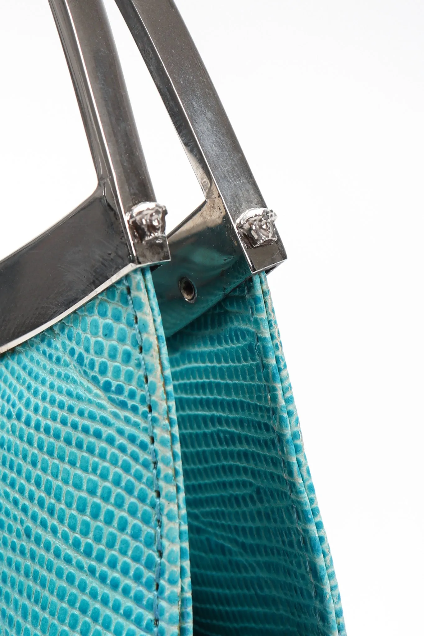 Lizard Frame Bag
