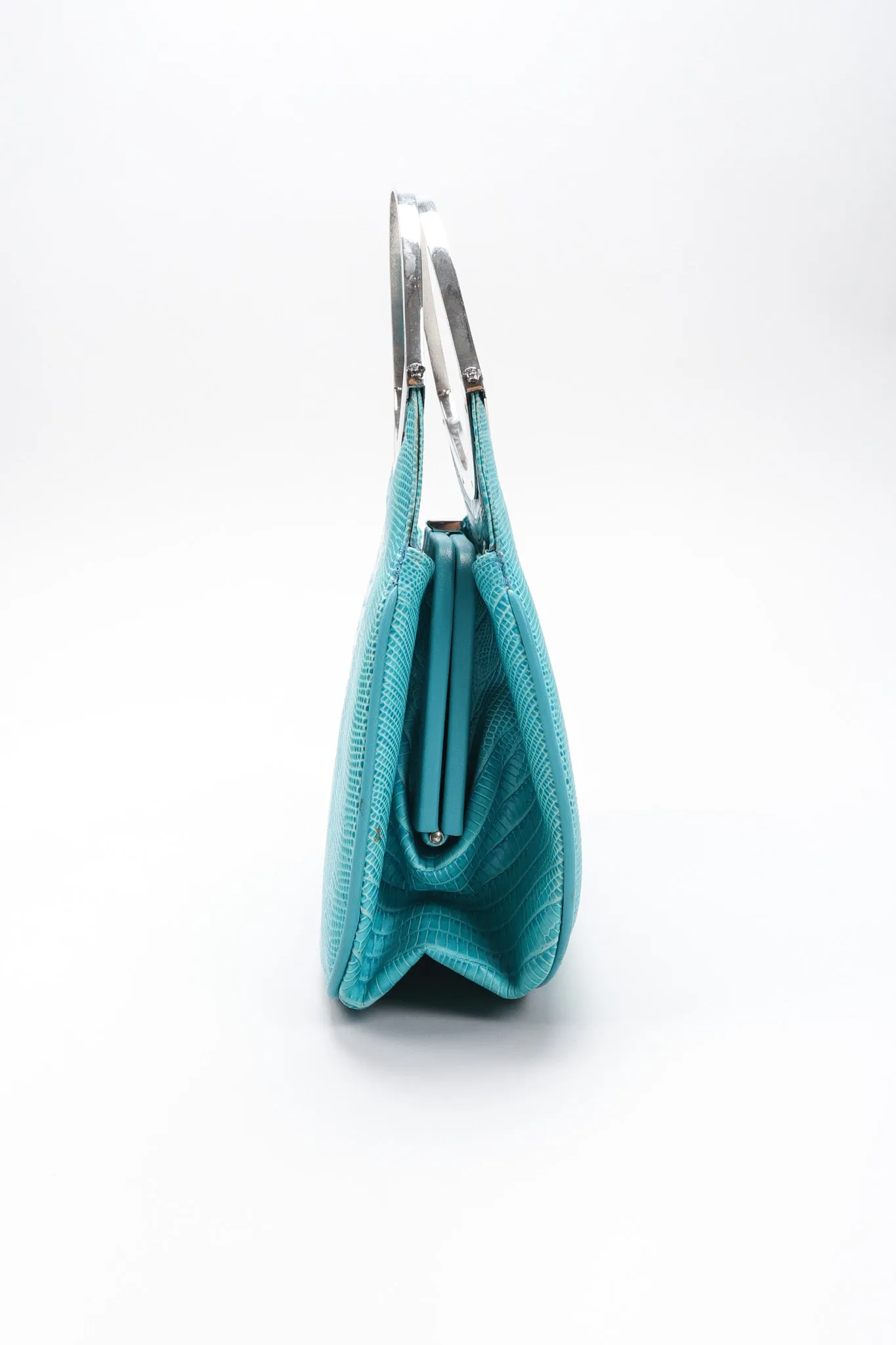 Lizard Frame Bag