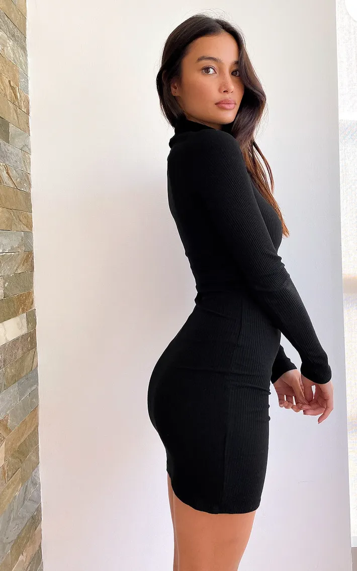 Ribbed Mock Neck Bodycon Mini Dress